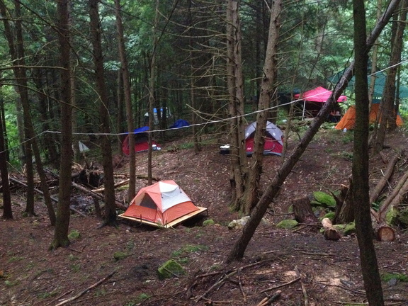 Tents pitched in the woods, including one on a raised wooded platform.