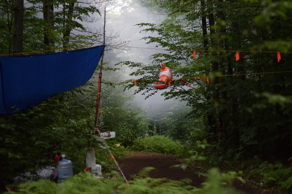 A tarp is roped to trees on a misty morning in the forest.