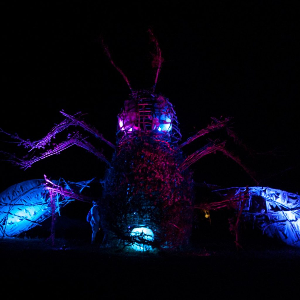 The 2013 bug at night, lit up with blue and purple spotlights. Its eyes and stomach-orb glow from within.
