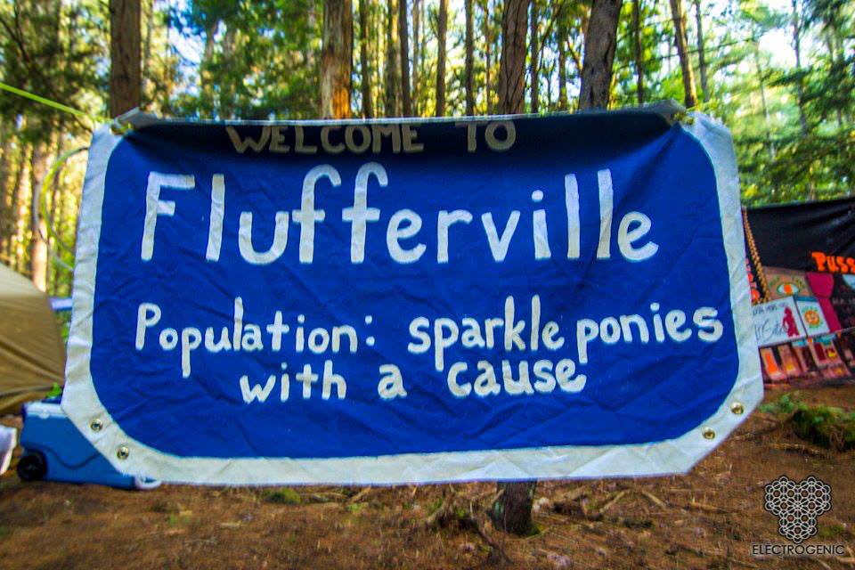 Fluffer Camp!