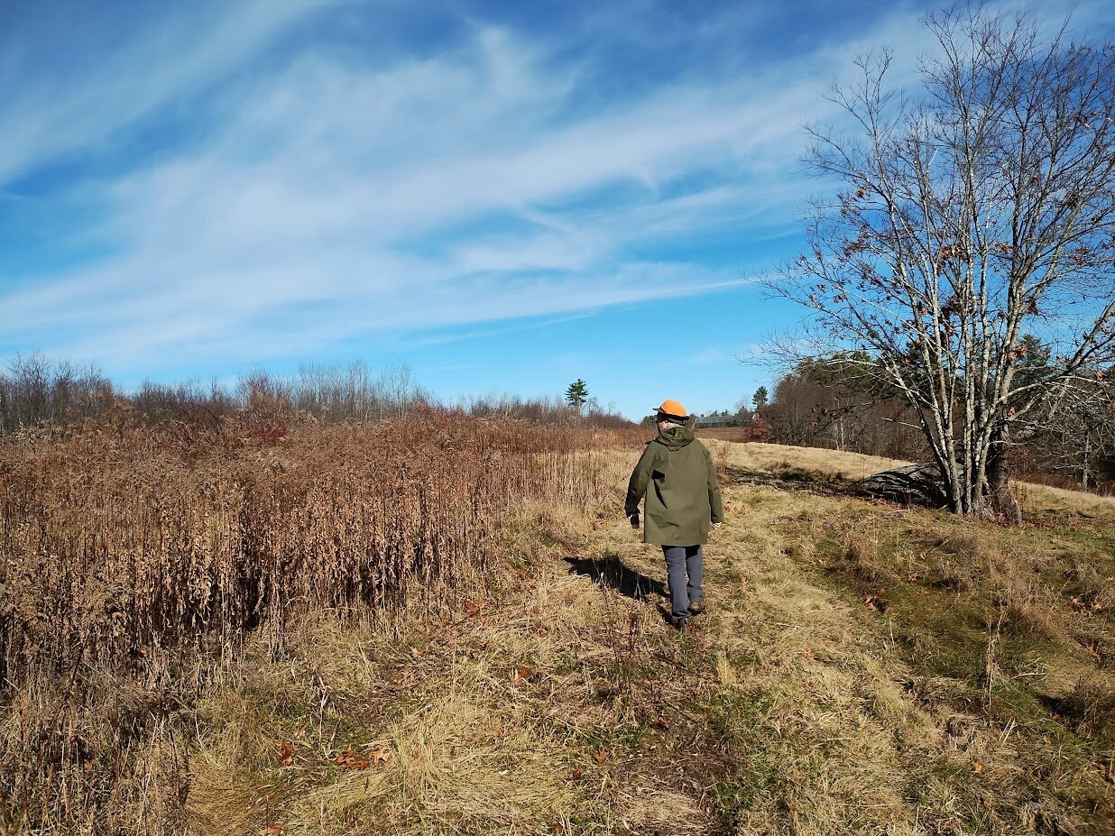 Photo of a person walking northeast along the southern path at the 2026 festival site. The hill by the river slopes down to their right, with the field covered in tall plants to their left.